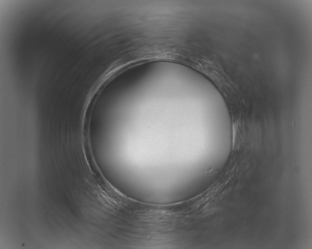 X0000071390195200606230948