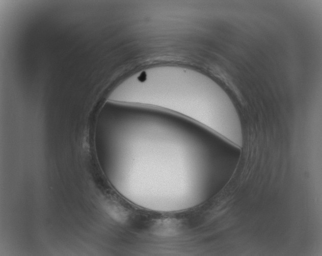 X0000071390212200606230948