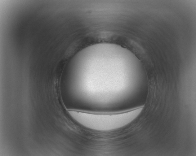 X0000071390225200606230948