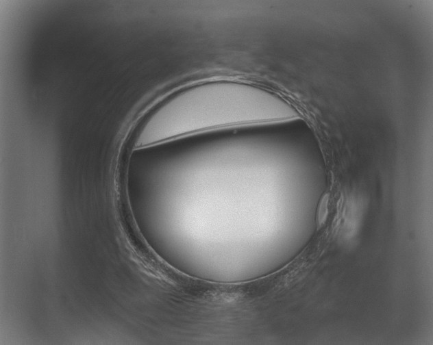 X0000071390247200606230947