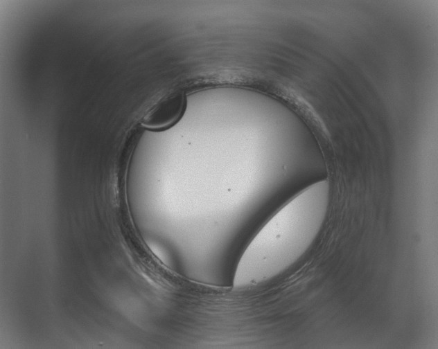 X0000071390251200606230947
