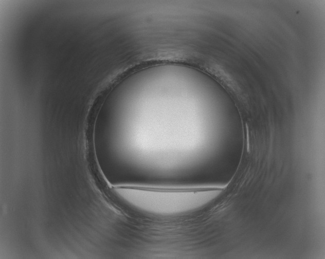 X0000071390252200606230947