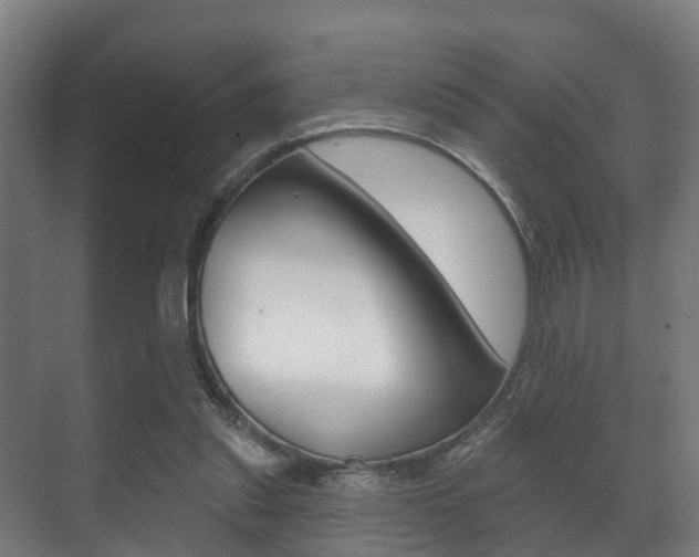 X0000071390253200606230947