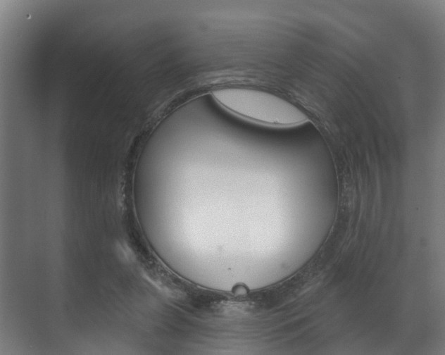 X0000071390255200606230947