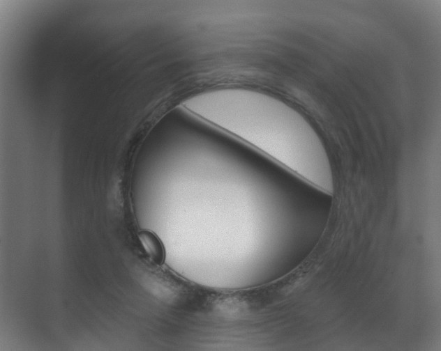 X0000071390258200606230947