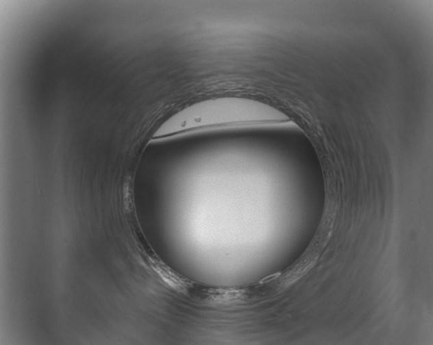 X0000071390288200606230948