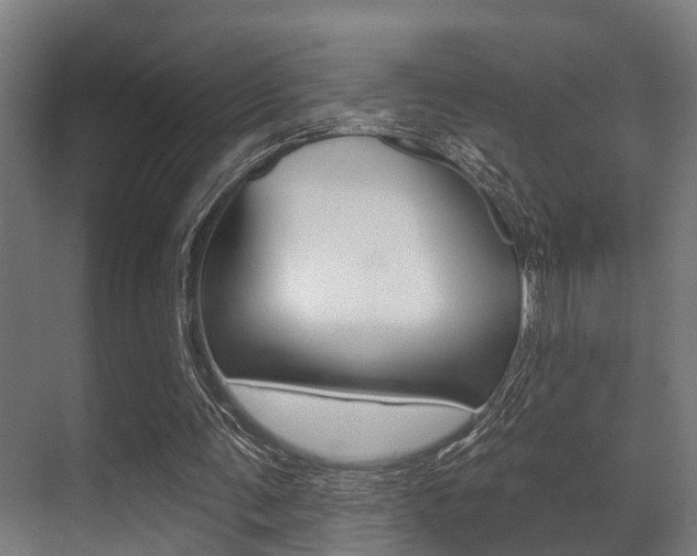 X0000071390291200606230947