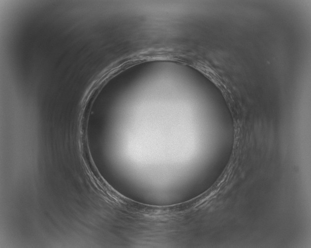 X0000071390293200606230947