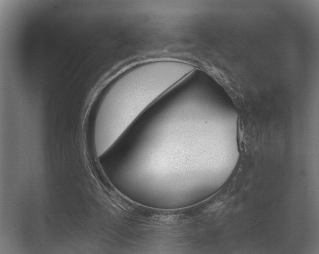 X0000071390295200606230947