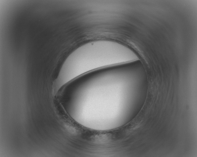 X0000071390307200606230946