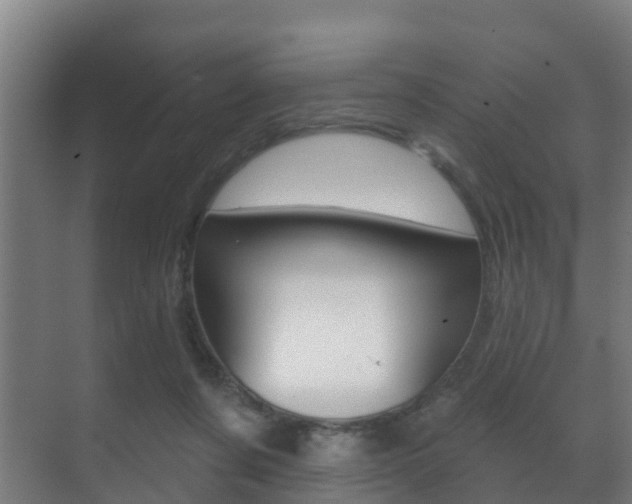 X0000071390311200606230946