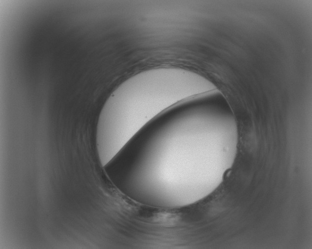 X0000071390319200606230946