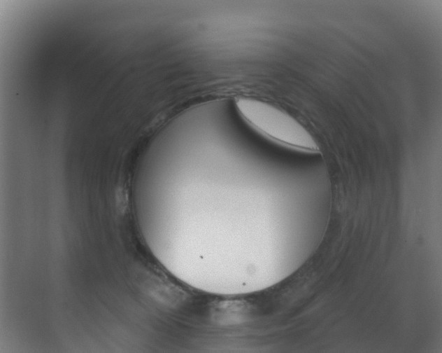 X0000071390324200606230946