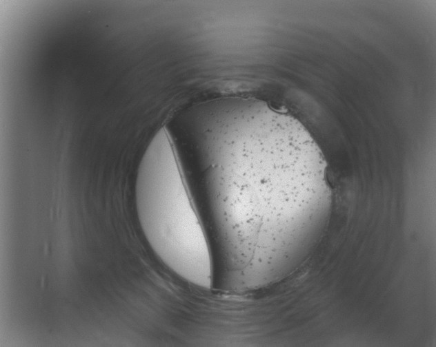 X0000071390327200606230946