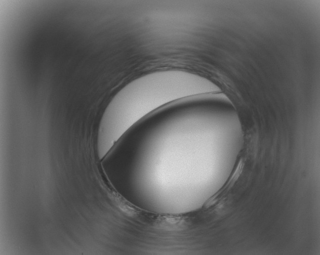 X0000071390329200606230946