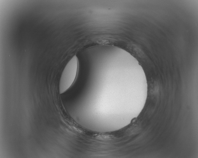X0000071390332200606230946