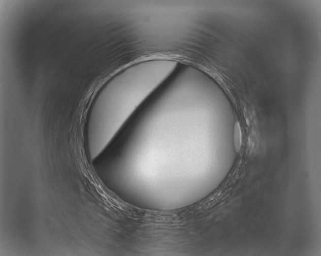 X0000071390337200606230945
