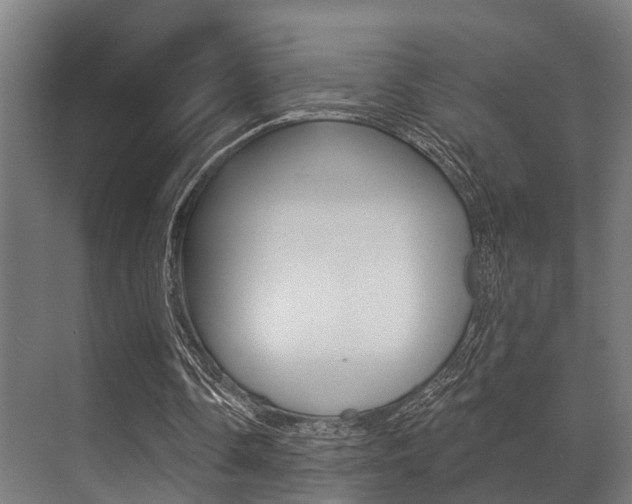 X0000071390338200606230945