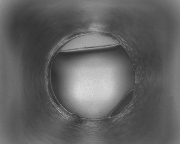 X0000071390341200606230945