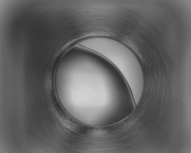 X0000071390348200606230945
