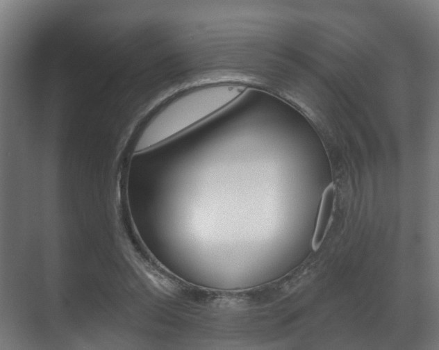 X0000071390350200606230945