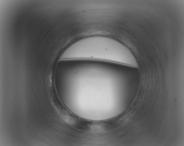 X0000071390358200606230946