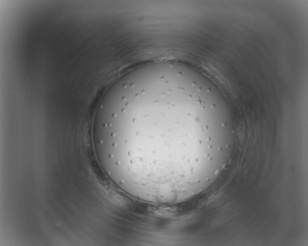 X0000071390359200606230946