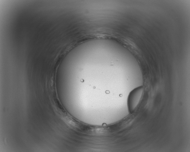 X0000071390365200606230946