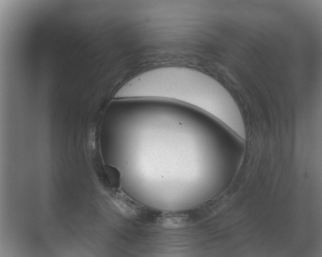 X0000071390368200606230946