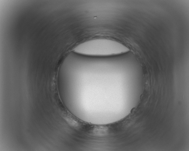 X0000071390369200606230946