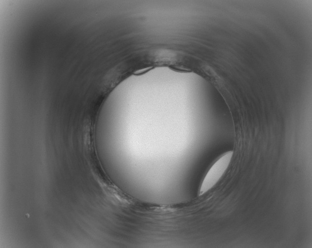 X0000071390379200606230946
