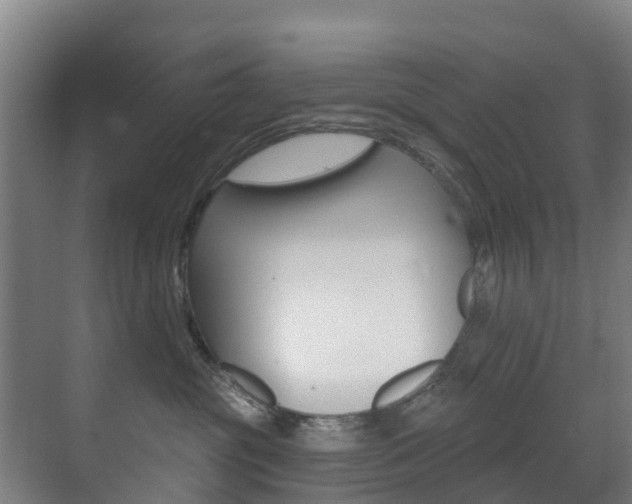 X0000071390381200606230946