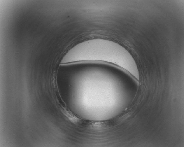 X0000071390382200606230946