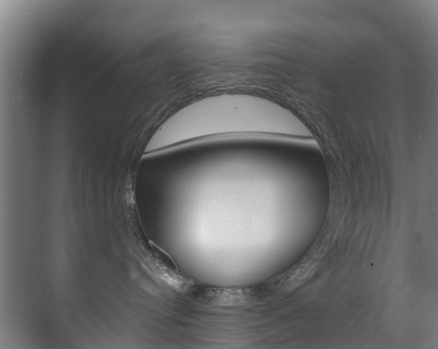 X0000071390384200606230946