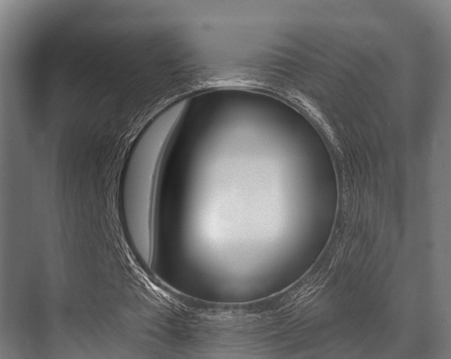 X0000071390385200606230945