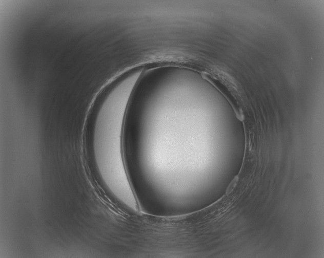 X0000071390388200606230945