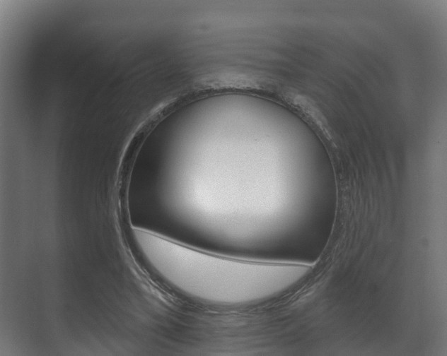 X0000071390395200606230945