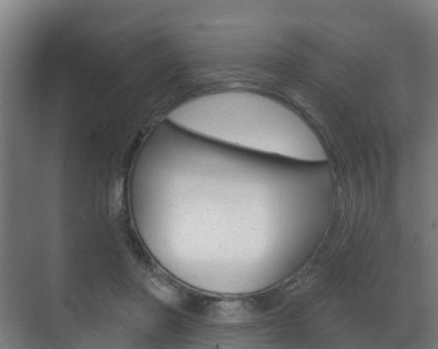 X0000071390406200606230945