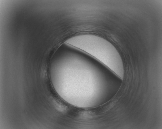 X0000071390408200606230945