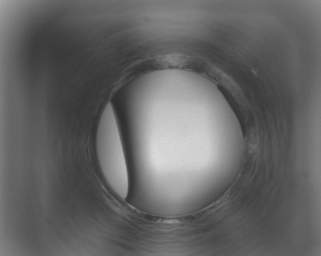 X0000071390409200606230945