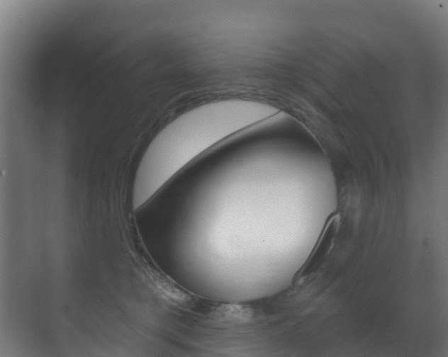 X0000071390421200606230945