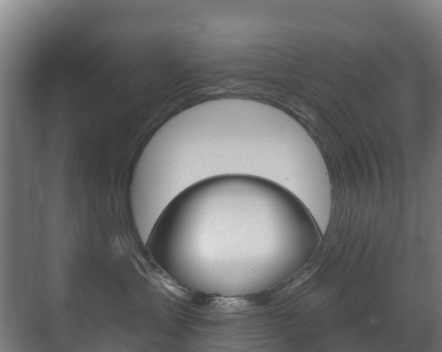 X0000071390429200606230944