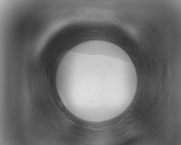 X0000071390431200606230944