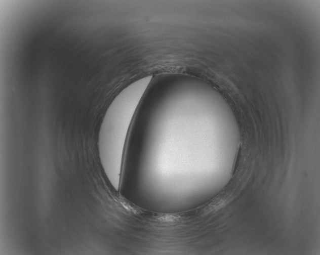 X0000071390432200606230944