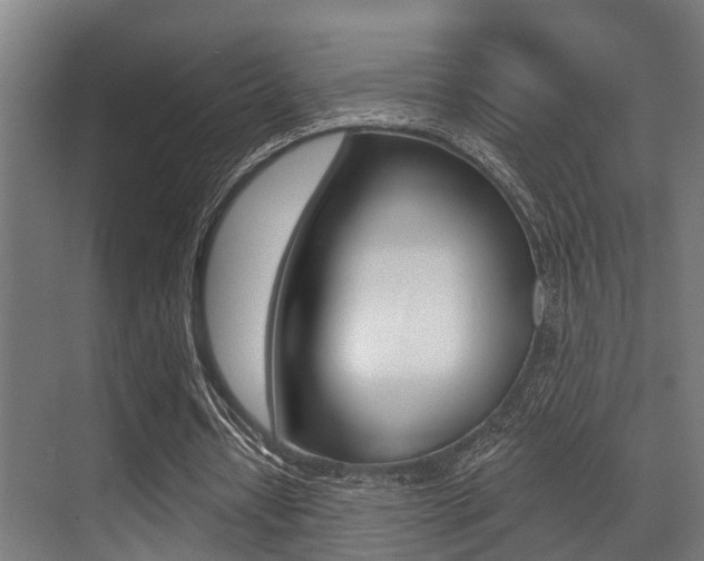 X0000071390434200606230944