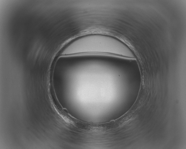 X0000071390438200606230944