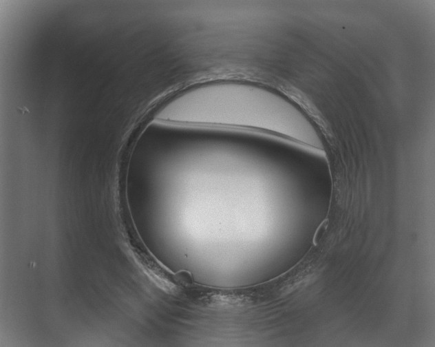 X0000071390442200606230944