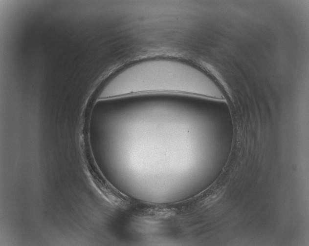X0000071390443200606230944