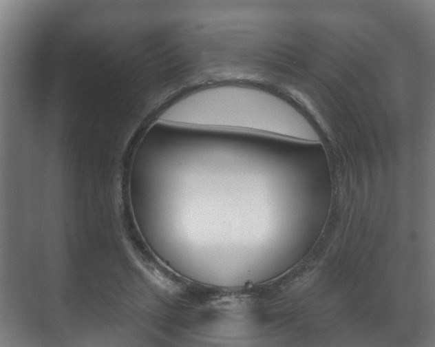 X0000071390447200606230944