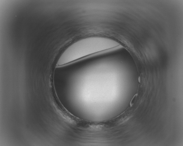 X0000071390450200606230944